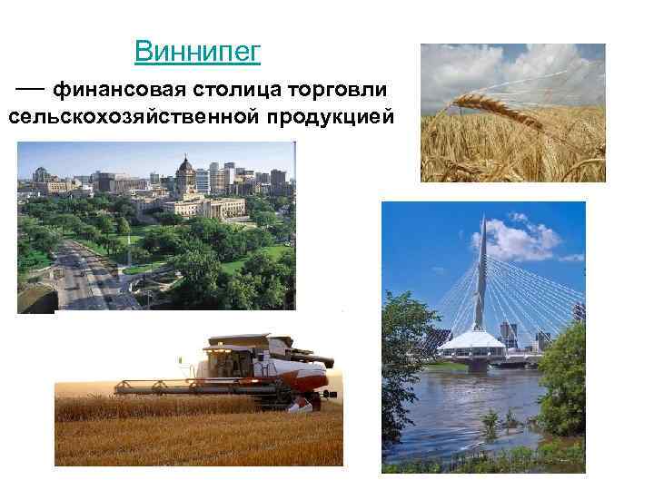 Виннипег — финансовая столица торговли сельскохозяйственной продукцией 