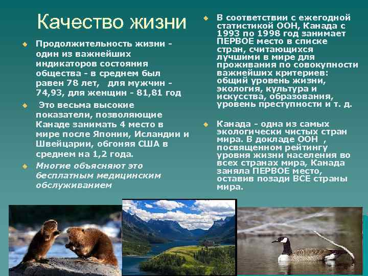 Качество жизни u u u Продолжительность жизни один из важнейших индикаторов состояния общества -