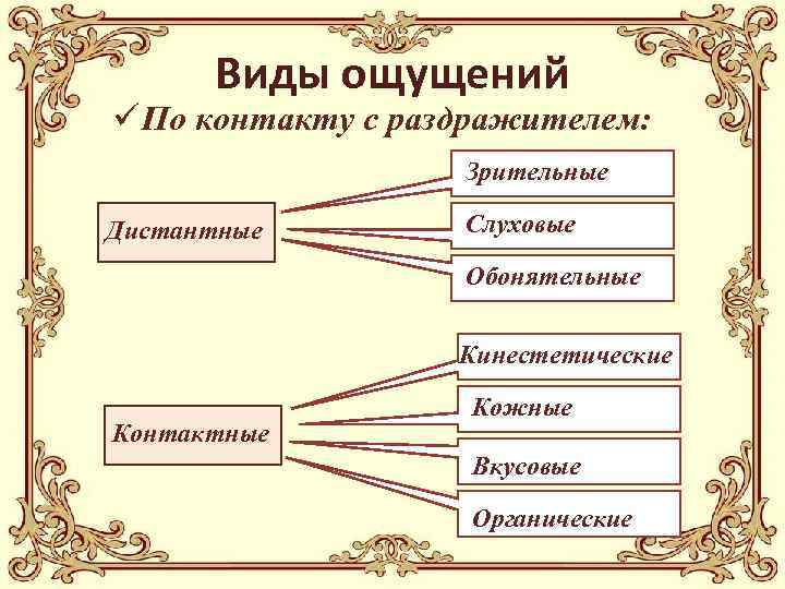 Виды ощущений ü По контакту с раздражителем: Зрительные Дистантные Слуховые Обонятельные Кинестетические Контактные Кожные