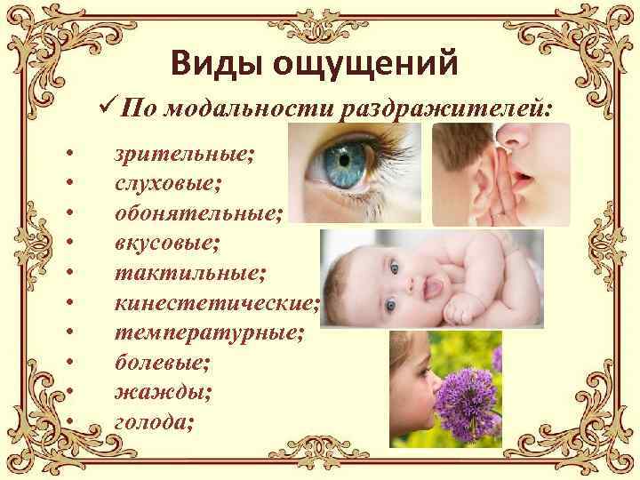 Виды ощущений ü По модальности раздражителей: • • • зрительные; слуховые; обонятельные; вкусовые; тактильные;