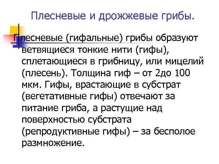 Плесневые и дрожжевые грибы. Плесневые (гифальные) грибы образуют ветвящиеся тонкие нити (гифы), сплетающиеся в