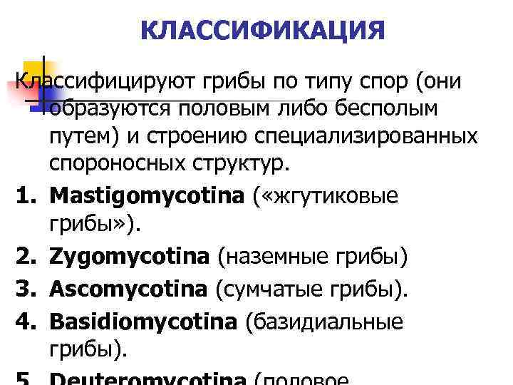 КЛАССИФИКАЦИЯ Классифицируют грибы по типу спор (они образуются половым либо бесполым путем) и строению