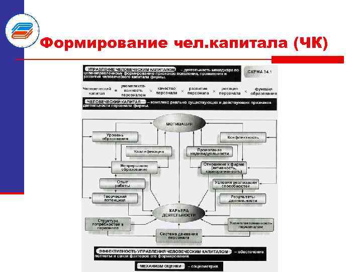 Формирование чел. капитала (ЧК) 