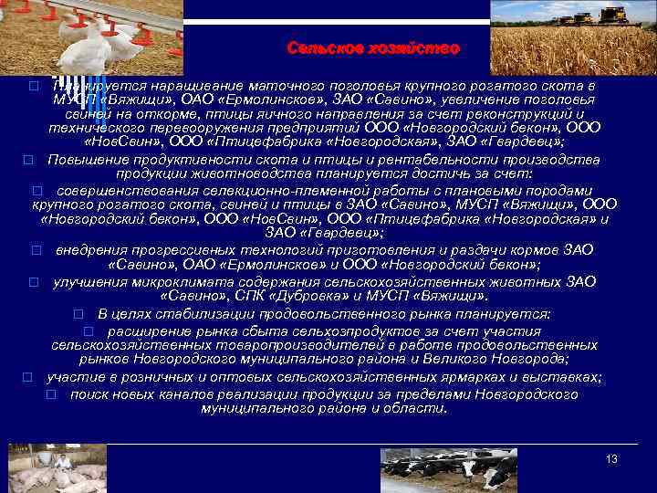 Сельское хозяйство Планируется наращивание маточного поголовья крупного рогатого скота в МУСП «Вяжищи» , ОАО