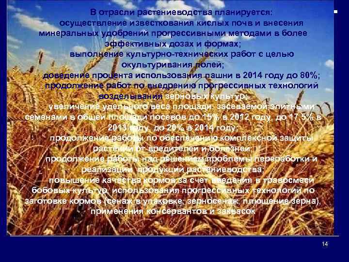 В отрасли растениеводства планируется: осуществление известкования кислых почв и внесения минеральных удобрений прогрессивными методами