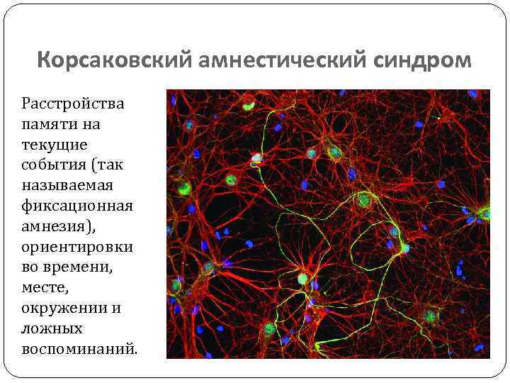 Корсаковский амнестический синдром Расстройства памяти на текущие события (так называемая фиксационная амнезия), ориентировки во