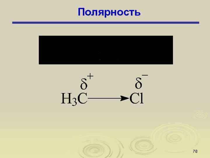 Полярность 78 