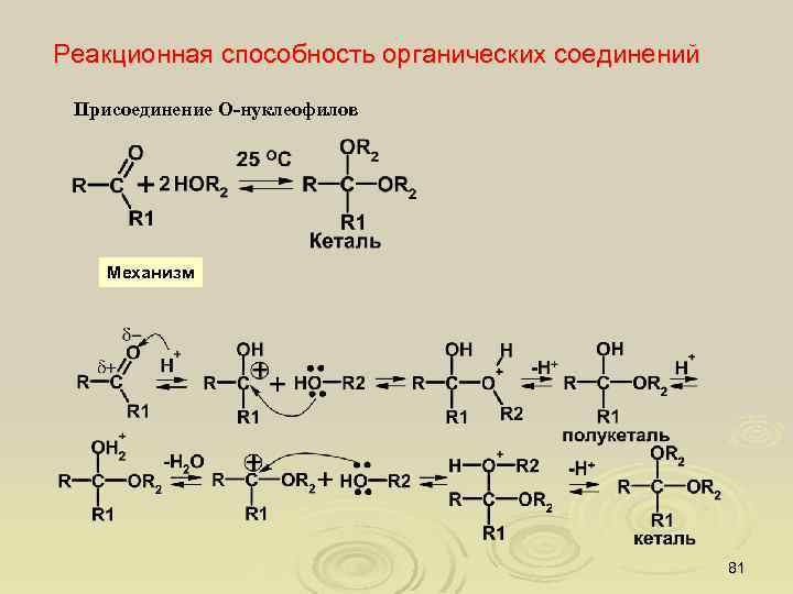 Реакционная способность органических соединений Присоединение О-нуклеофилов Механизм 81 