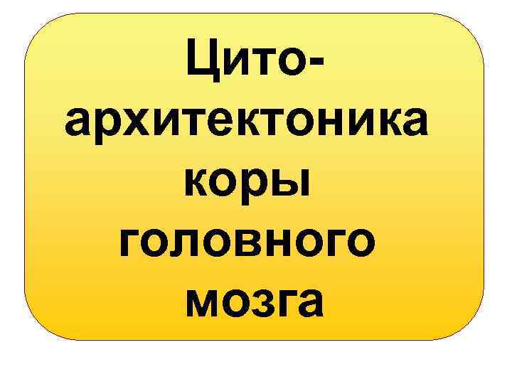 Цитоархитектоника коры головного мозга 