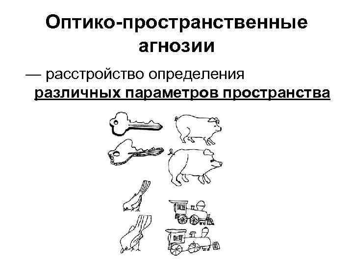 Вид агнозии характеризующийся нарушением узнавания предметов или их изображений выберите один ответ