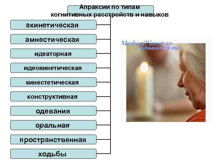 Высшие корковые функции презентация