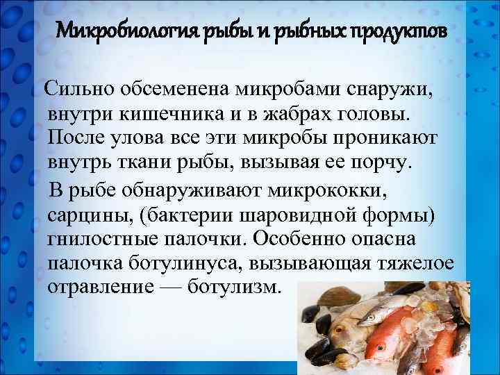 Микробиология рыбы и рыбных продуктов Сильно обсеменена микробами снаружи, внутри кишечника и в жабрах
