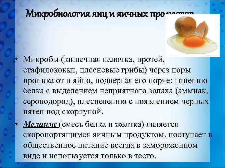 Микробиология яиц и яичных продуктов • Микробы (кишечная палочка, протей, стафилококки, плесневые грибы) через