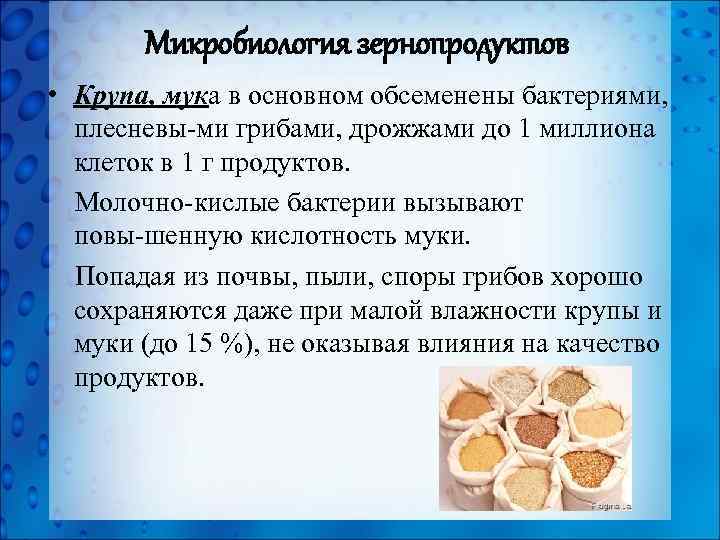 Микробиология зернопродуктов • Крупа, мука в основном обсеменены бактериями, плесневы ми грибами, дрожжами до