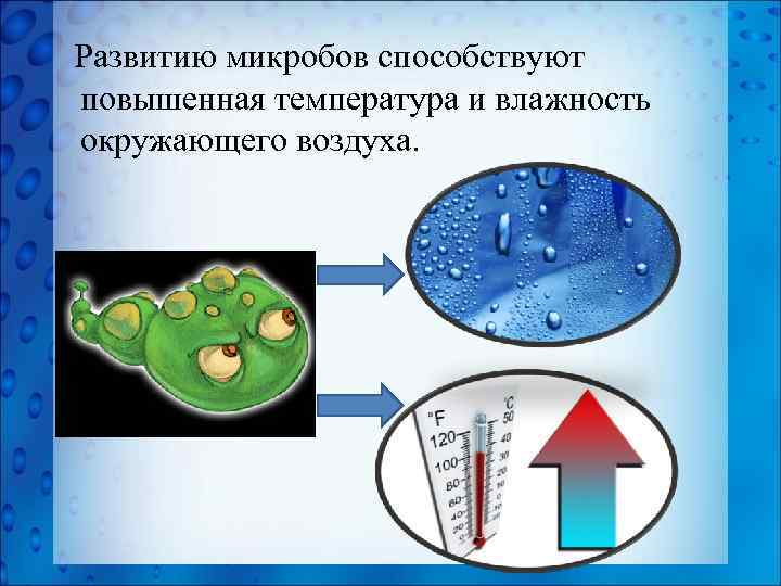 Развитию микробов способствуют повышенная температура и влажность окружающего воздуха. 