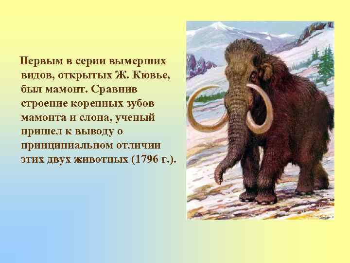 Первым в серии вымерших видов, открытых Ж. Кювье, был мамонт. Сравнив строение коренных зубов