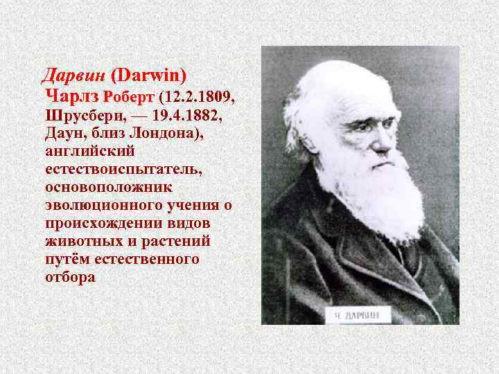  Дарвин (Darwin) Чарлз Роберт (12. 2. 1809, Роберт Шрусбери, — 19. 4. 1882,