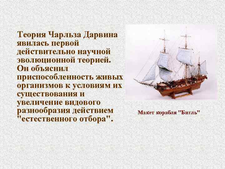 Теория Чарльза Дарвина явилась первой действительно научной эволюционной теорией. Он объяснил приспособленность живых организмов
