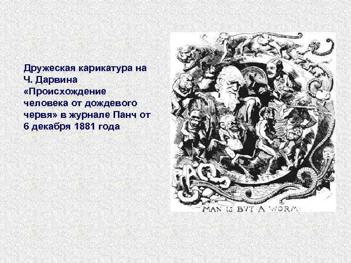 Дружеская карикатура на Ч. Дарвина «Происхождение человека от дождевого червя» в журнале Панч от