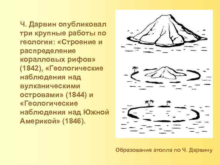 Ч. Дарвин опубликовал три крупные работы по геологии: «Строение и распределение коралловых рифов» (1842),