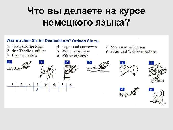 Что вы делаете на курсе немецкого языка? 