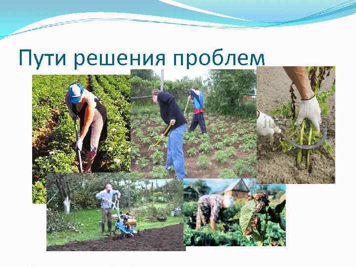 Пути решения проблем 