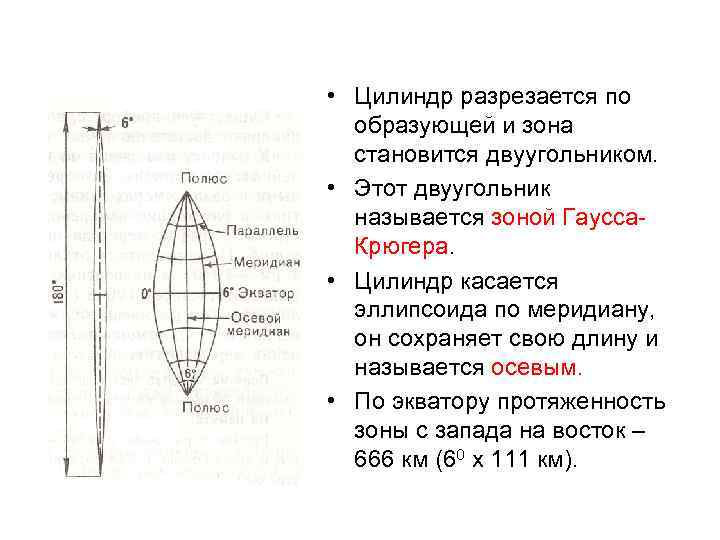  • Цилиндр разрезается по образующей и зона становится двуугольником. • Этот двуугольник называется