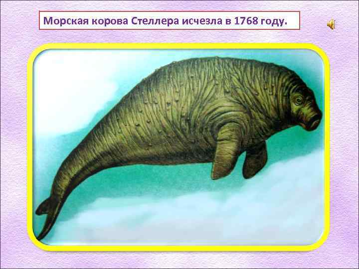 Морская корова Стеллера исчезла в 1768 году. 