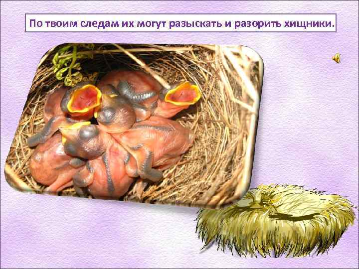 По твоим следам их могут разыскать и разорить хищники. 