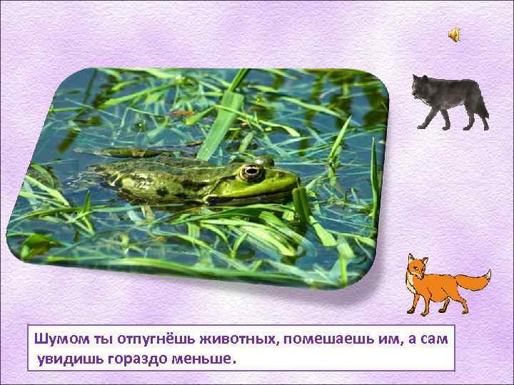 Шумом ты отпугнёшь животных, помешаешь им, а сам увидишь гораздо меньше. 