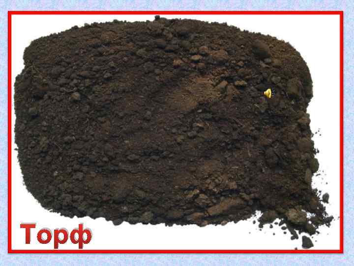 Росли на болоте растения, Стали топливом и удобрением. Торф 