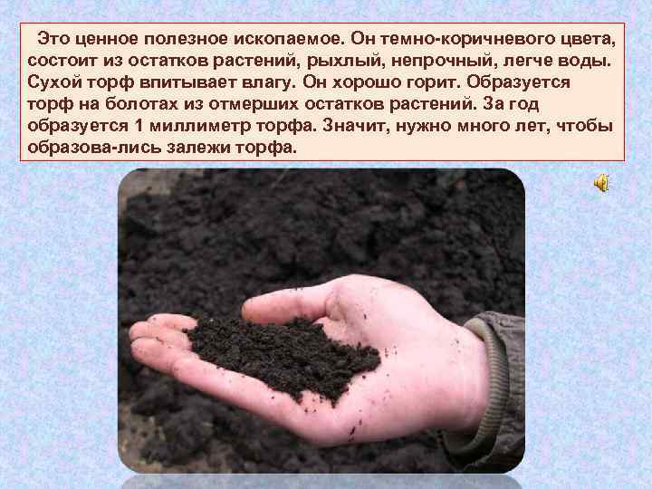  Это ценное полезное ископаемое. Он темно-коричневого цвета, состоит из остатков растений, рыхлый, непрочный,