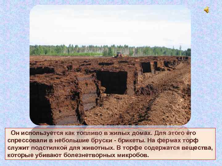  Он используется как топливо в жилых домах. Для этого его спрессовали в небольшие