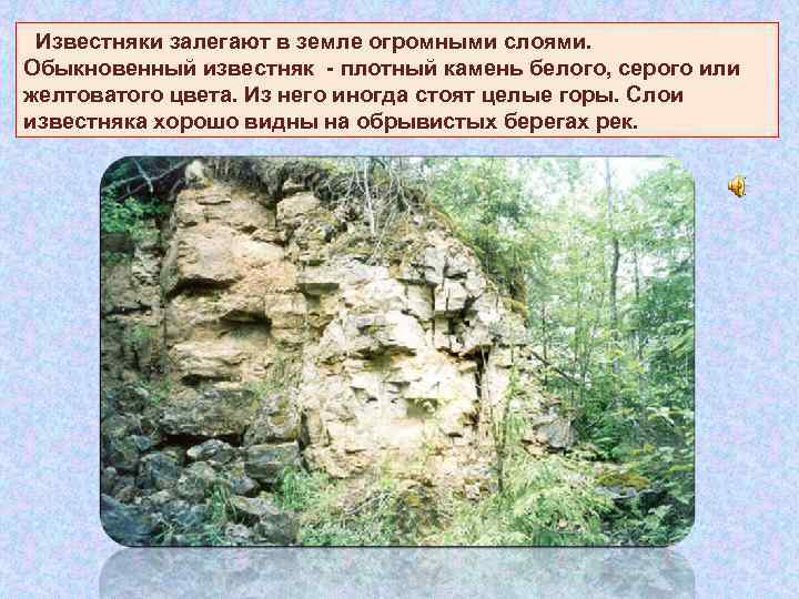  Известняки залегают в земле огромными слоями. Обыкновенный известняк - плотный камень белого, серого