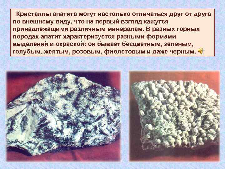  Кристаллы апатита могут настолько отличаться друг от друга по внешнему виду, что на