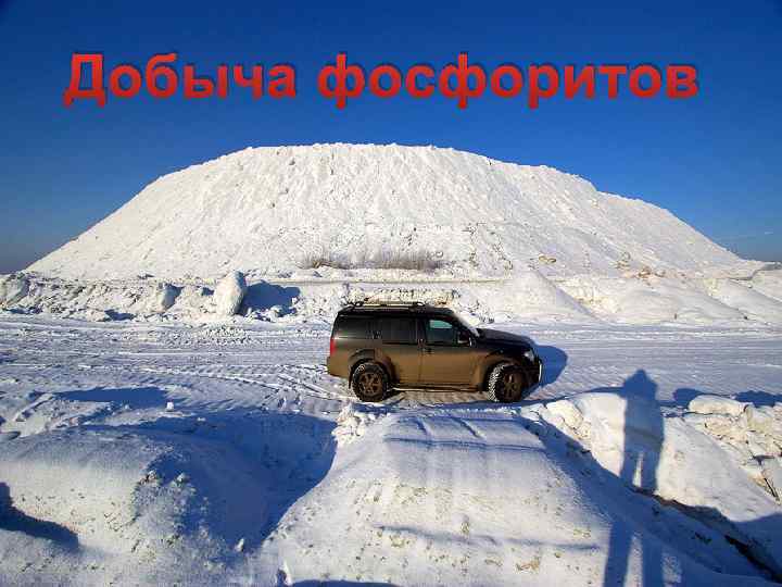 Добыча фосфоритов 