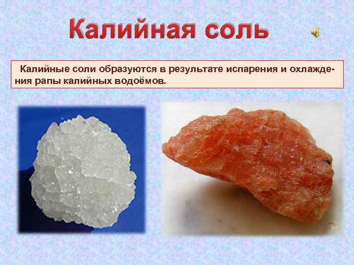 Калийная соль Калийные соли образуются в результате испарения и охлаждения рапы калийных водоёмов. 