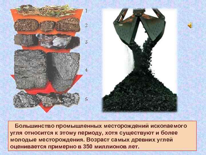  Большинство промышленных месторождений ископаемого угля относится к этому периоду, хотя существуют и более