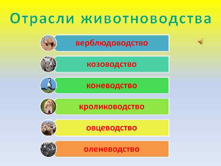 Дополните схему классификации животноводства представленную на рисунке 81