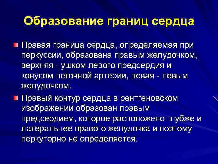 Образование границ сердца Правая граница сердца, определяемая при перкуссии, образована правым желудочком, верхняя -