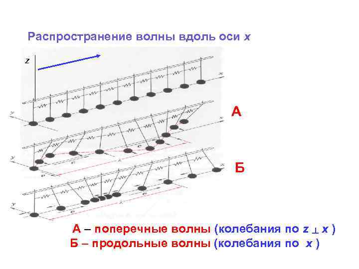 Распространение волны вдоль оси х z А Б А – поперечные волны (колебания по