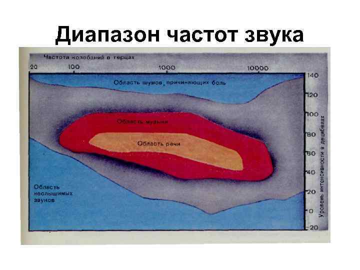 Диапазон частот звука 