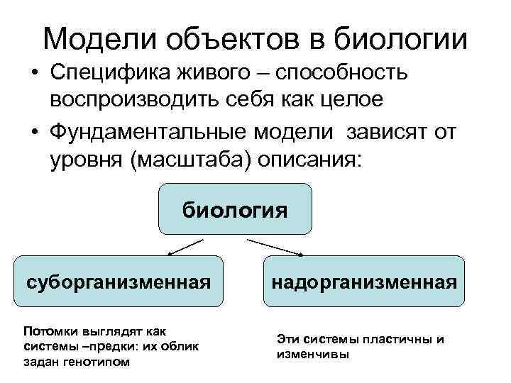 Особенности биологического объекта