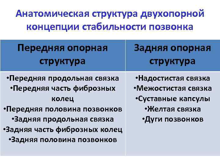 Анатомическая структура двухопорной концепции стабильности позвонка Передняя опорная структура Задняя опорная структура • Передняя