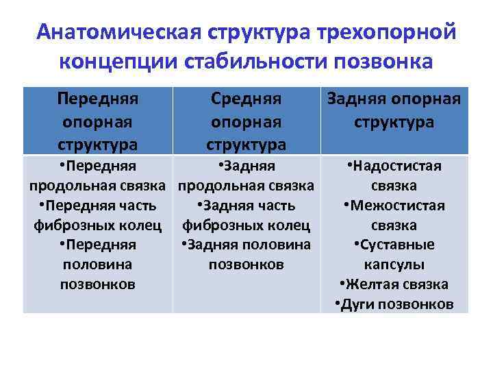 Анатомическая структура трехопорной концепции стабильности позвонка Передняя опорная структура Средняя опорная структура • Передняя
