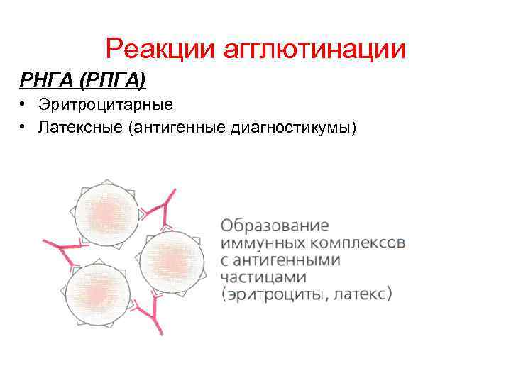 Картинки реакции агглютинации