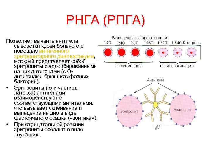 Планшеты иммунологические вид 327170