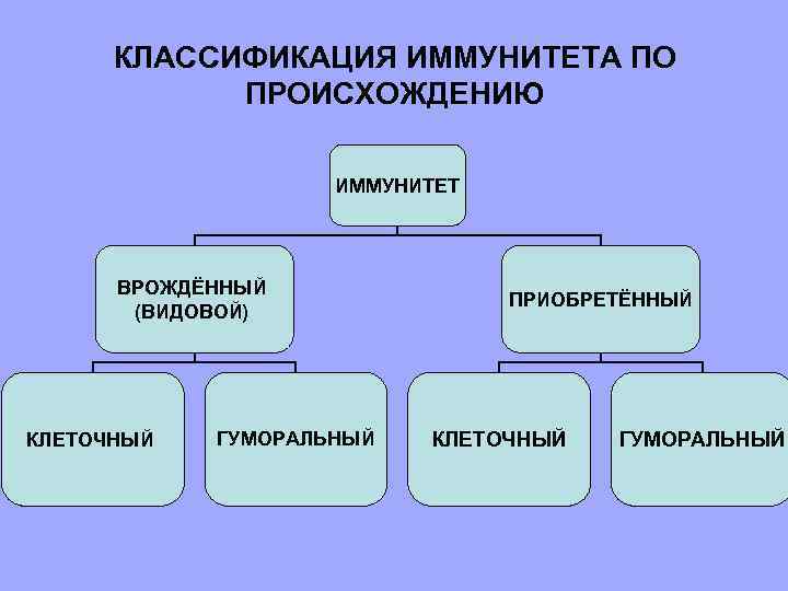 КЛАССИФИКАЦИЯ ИММУНИТЕТА ПО ПРОИСХОЖДЕНИЮ ИММУНИТЕТ ВРОЖДЁННЫЙ (ВИДОВОЙ) КЛЕТОЧНЫЙ ГУМОРАЛЬНЫЙ ПРИОБРЕТЁННЫЙ КЛЕТОЧНЫЙ ГУМОРАЛЬНЫЙ 