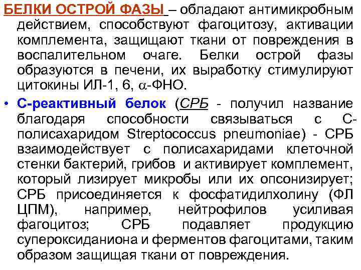 БЕЛКИ ОСТРОЙ ФАЗЫ – обладают антимикробным действием, способствуют фагоцитозу, активации комплемента, защищают ткани от