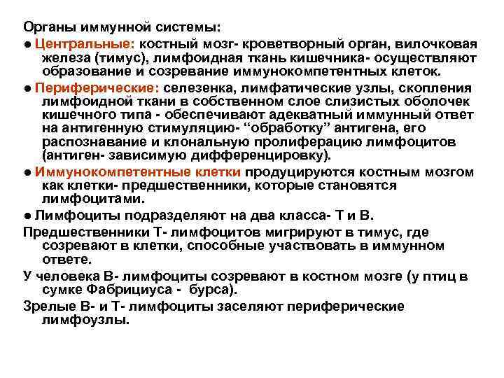 Органы иммунной системы: ● Центральные: костный мозг- кроветворный орган, вилочковая железа (тимус), лимфоидная ткань
